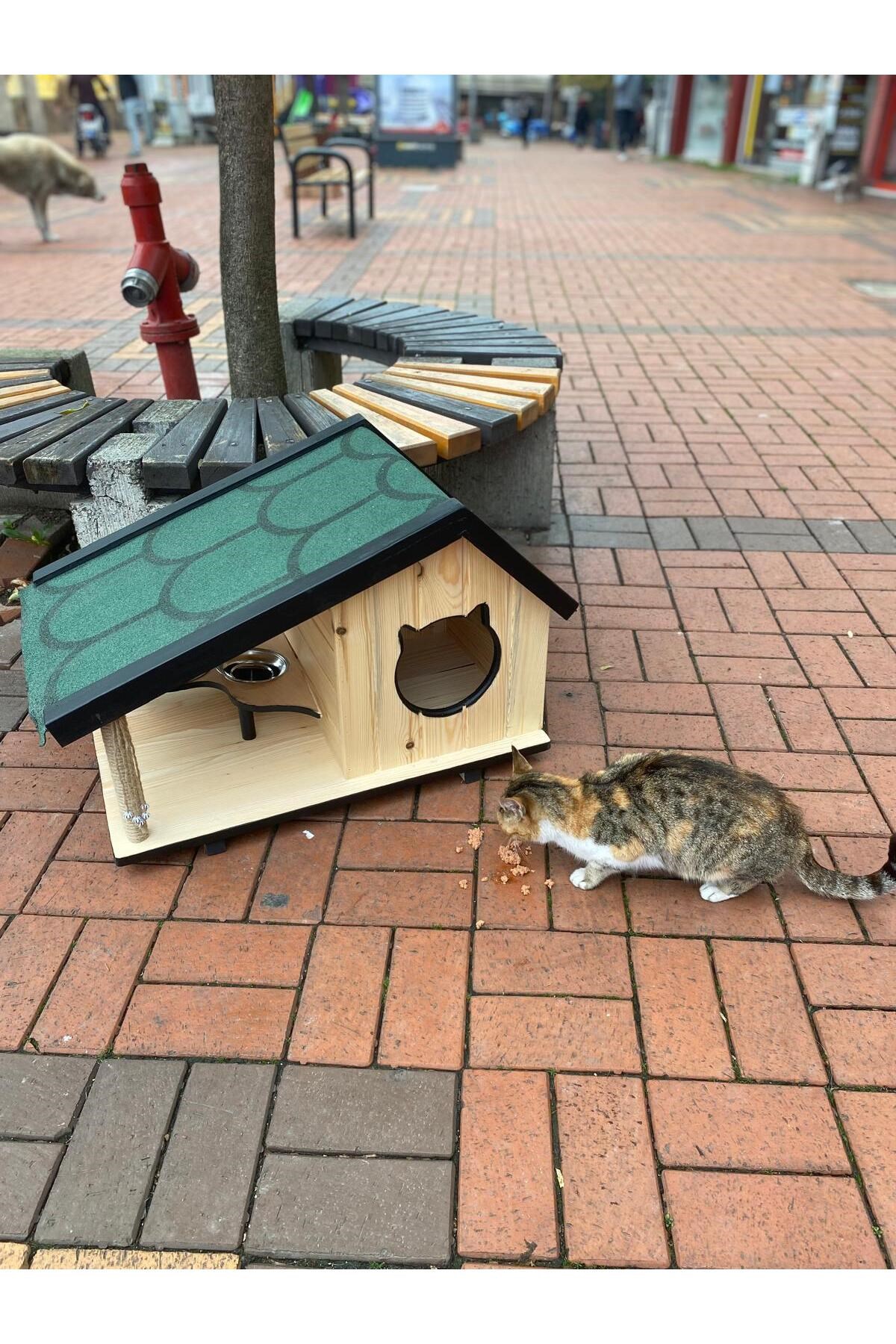 Narım Ahşap Mama Standlı Tırmalama Tahtalı Özel Tasarım Kedi Barınağı, Kedi Barınağı 74x45 cm