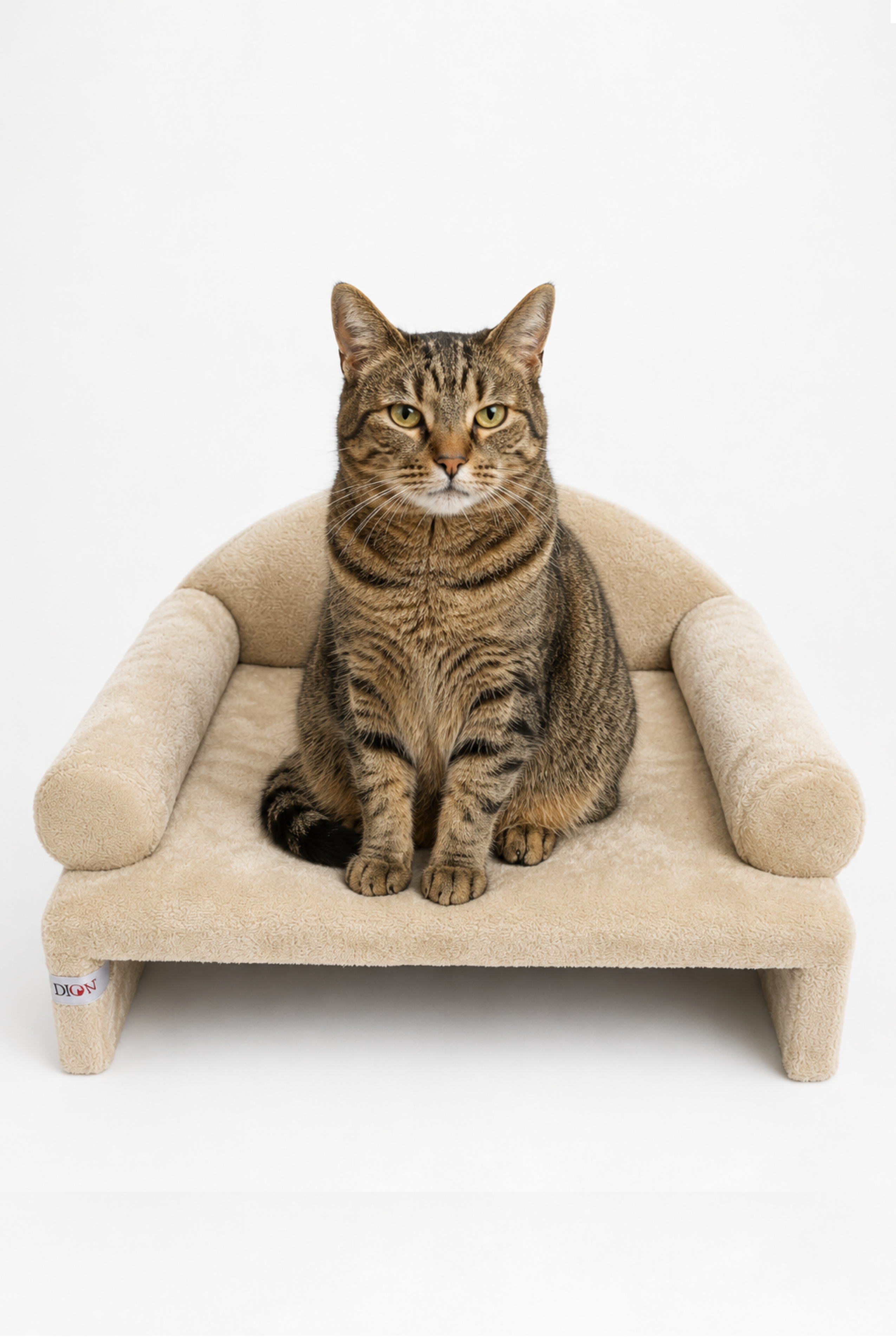 Reyo Pet Peluş Kedi Koltuğu, Kedi Kanepesi, Kedi Yatağı, Evcil Hayvan Dinlenme Koltuğu, Rahat Kedi Sofa Yatağı, 45x33x25 cm Bej