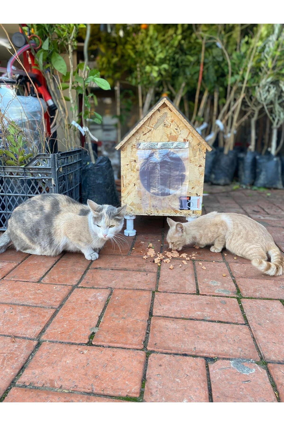 Narım Kedi Evi, Yerden Yüksek Kedi Yuvası, Su ve Isı Yalıtımı İç ve Dış Mekan Kedi Barınağı   33x38x40cm - Monteli Teslimat