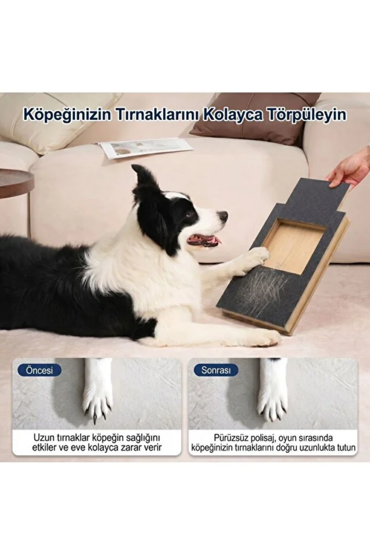 Reyo Köpekür Köpekler için Tırnak Törpüleyen Tırmalama ve Eğitim Tahtası