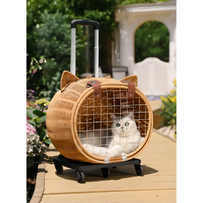  Reyo Pet Kedi Taşıma ve Seyahat Bavulu