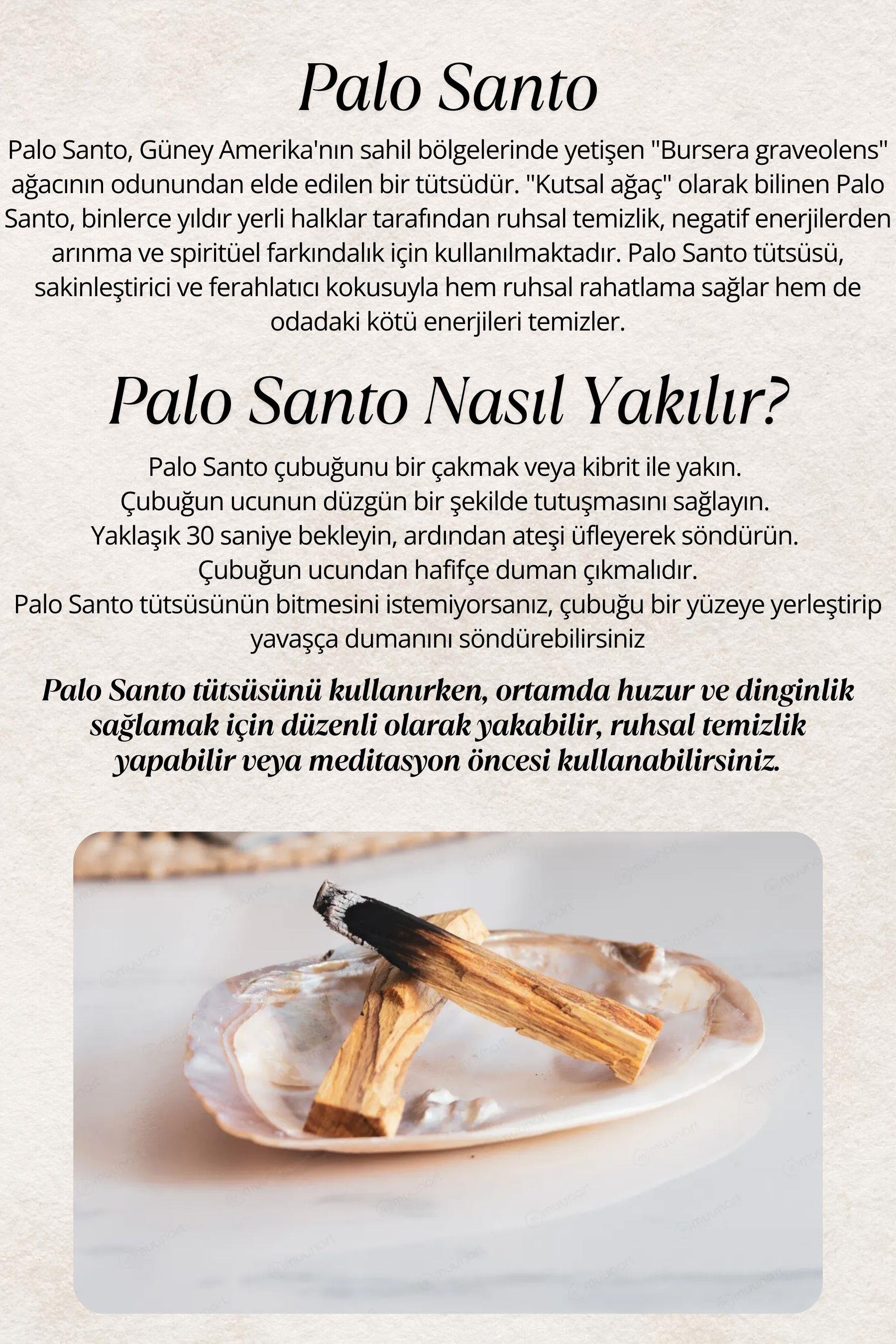 Reyo Şans ve Başarı Tütsü Demeti Arınma 3'lü Ritüel Set, 2 Adet Palo Santo ve Deniz Kabuğu ( Tuz Hediyeli)