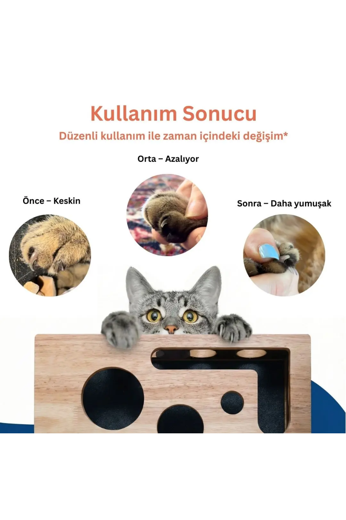 Reyo Pet KediKür Kedi Tırmalama ve Oyun Kutusu – Tırnak Törpüleyici İnteraktif Kedi Oyuncağı