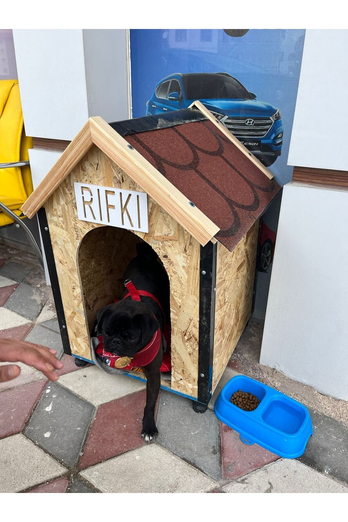 Msay Küçük / Orta Irk Köpek Evi, Sıcak ve Soğuya Dayanıklı Köpek Kulübesi OSB Ahşap Şıngıl Çatılı 50x50x70cm (Demonte Gönderim)