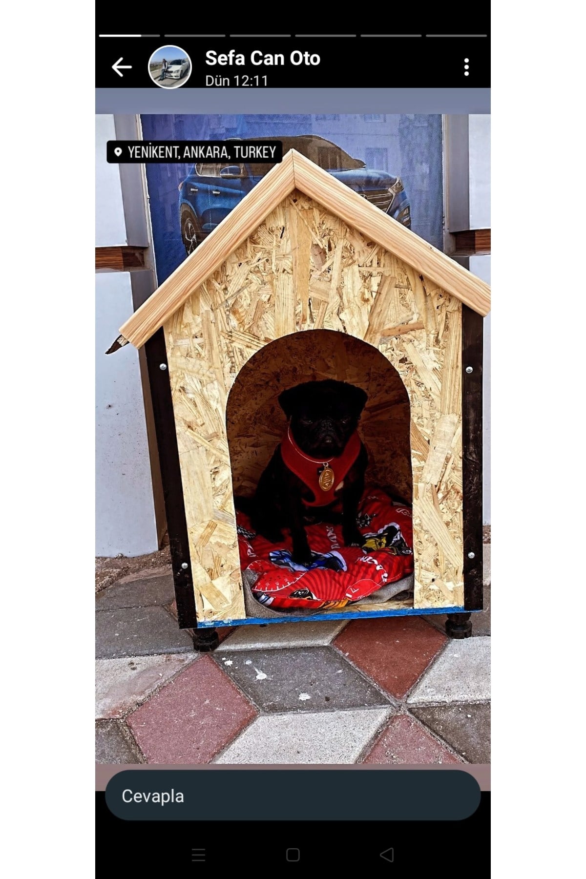 Msay Küçük / Orta Irk Köpek Evi, Sıcak ve Soğuya Dayanıklı Köpek Kulübesi OSB Ahşap Şıngıl Çatılı 50x50x70cm (Demonte Gönderim)