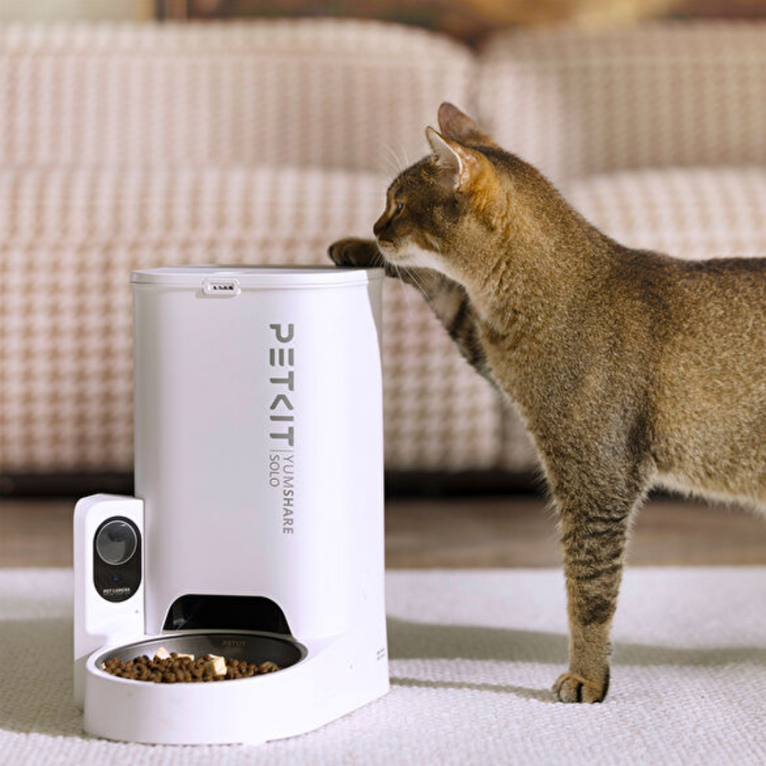 Petkit Yumshare Solo Kameralı Akıllı Mama Kabı