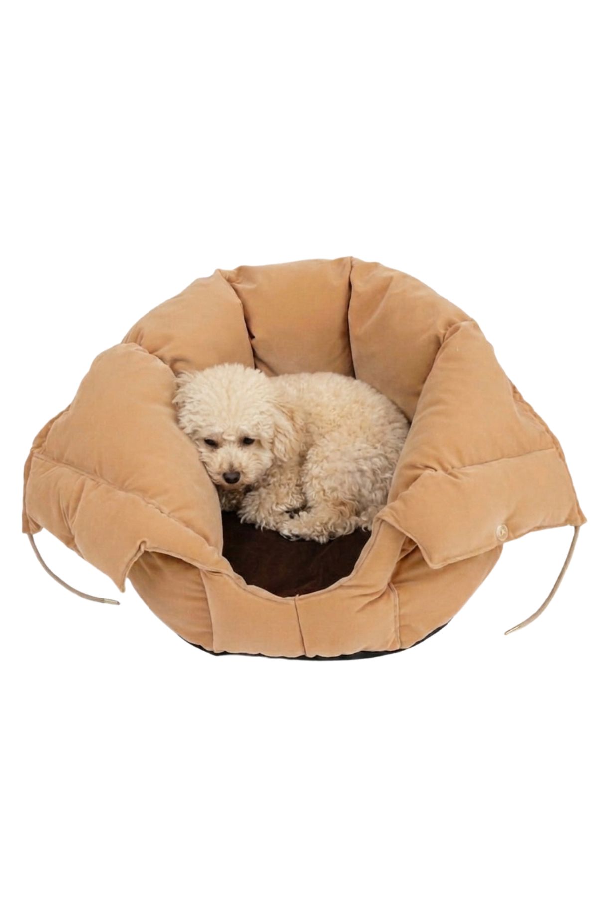 Reyo Max Design Maxie Dream Pouch Kedi Yuvası ve Köpek Yatağı Latte – Yumuşak, Konforlu Peluş Kedi Evi ve Evcil Hayvan Yatağı