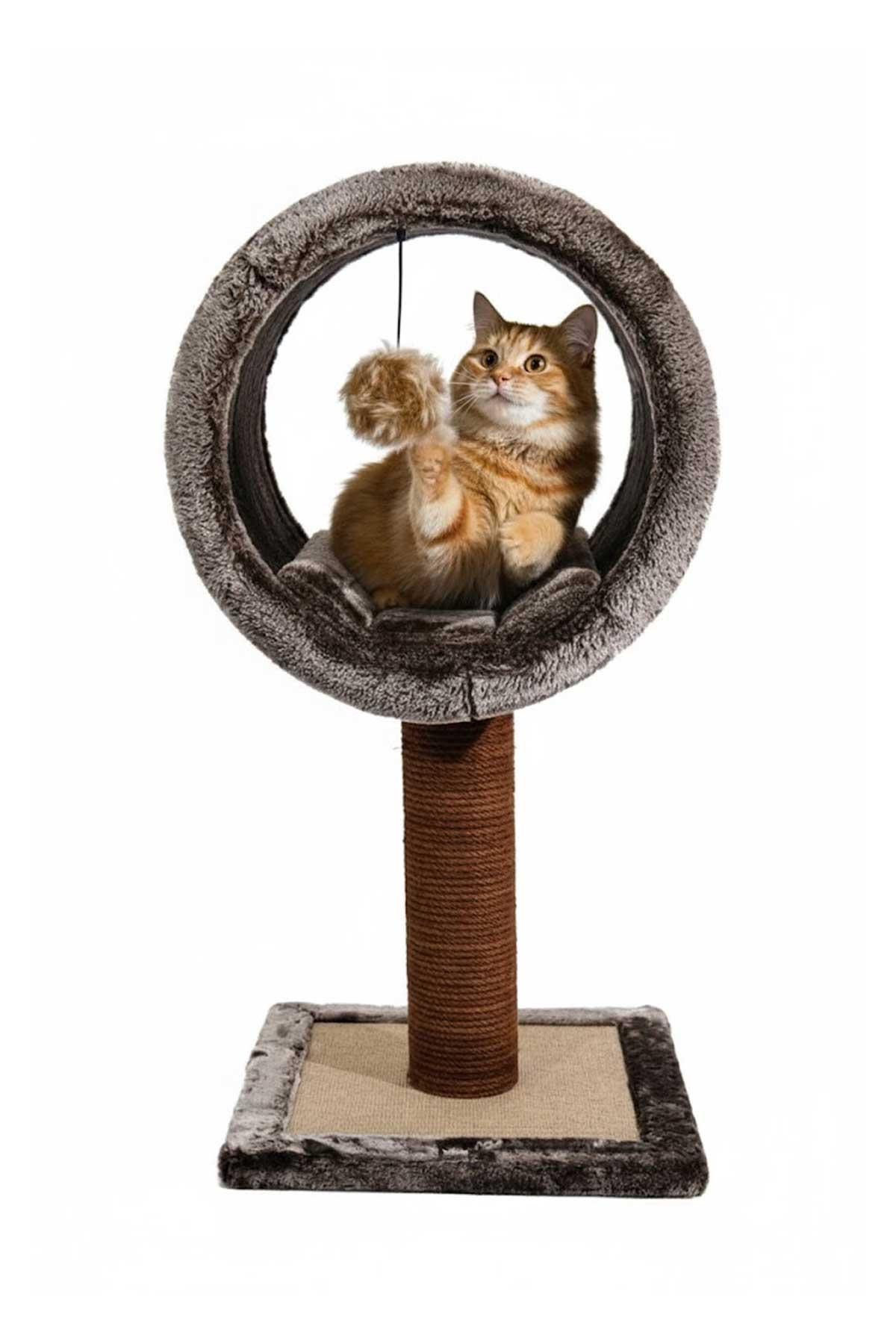 Lotus Pet Design Tırmalamalı Kedi Evi Kedi Oyun Evi Kahve
