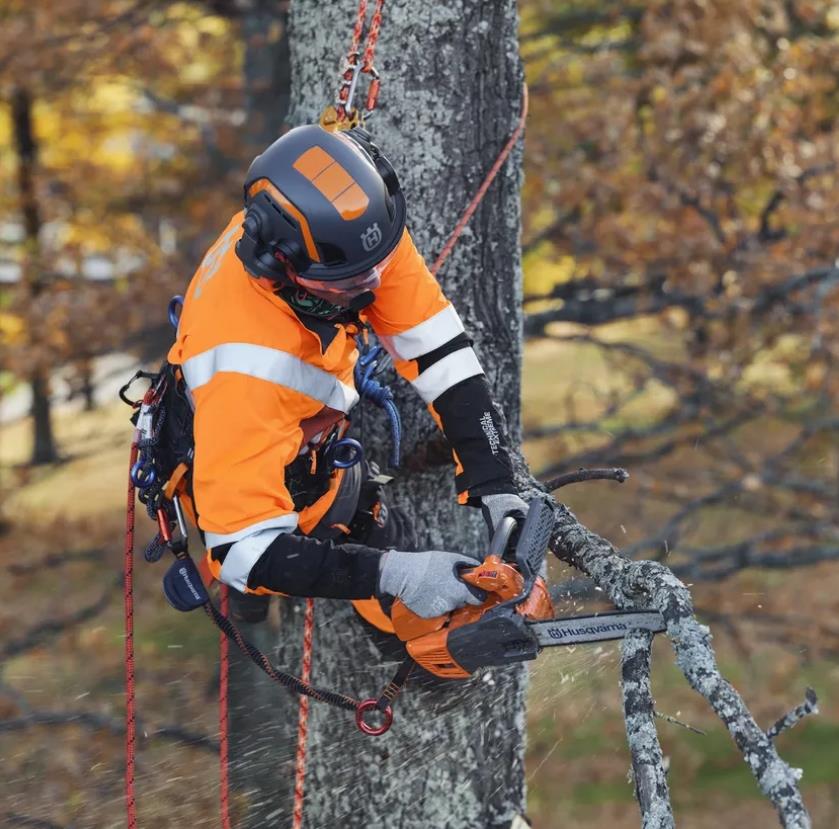 Husqvarna T525 Ağaç Kesme Makinesi
