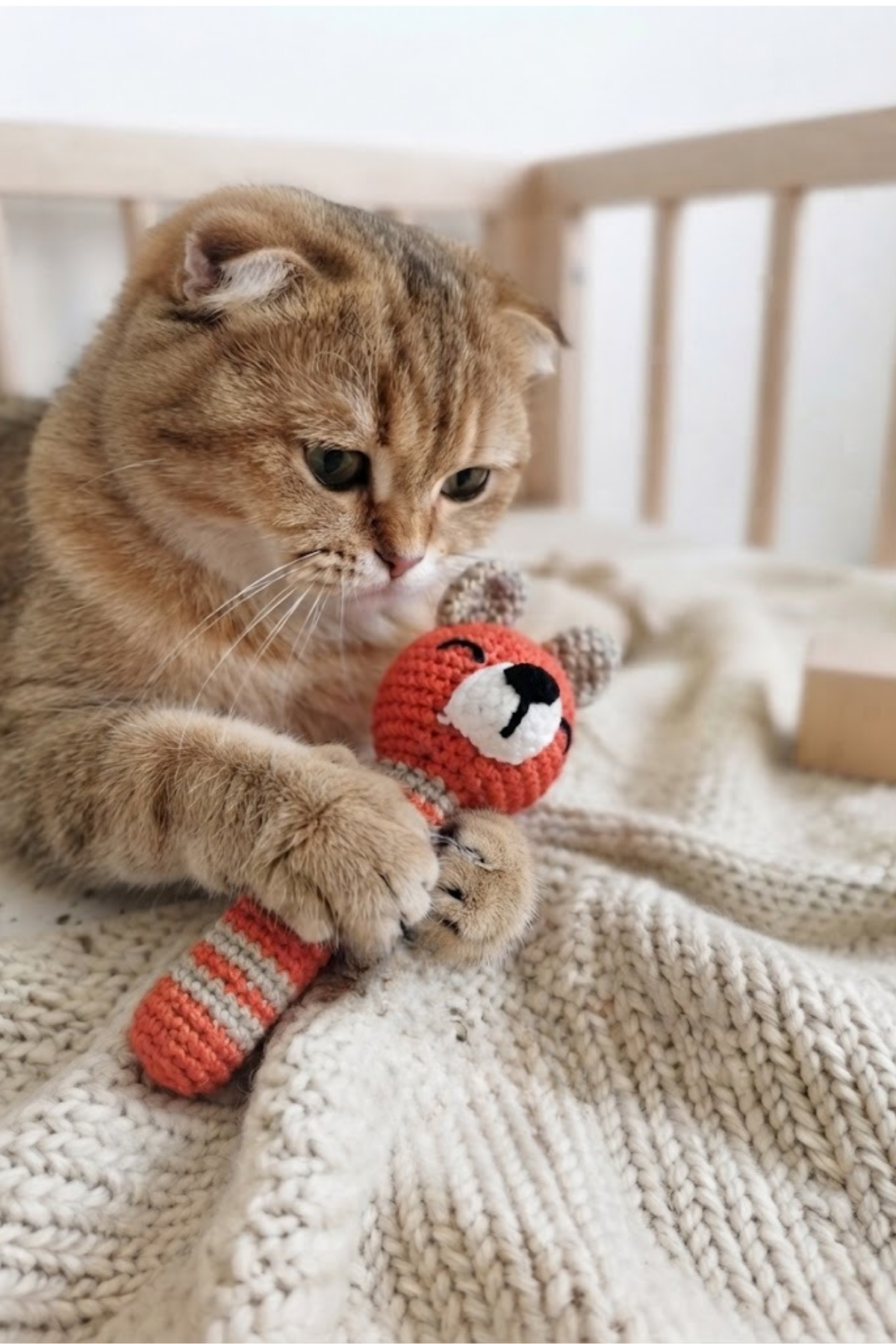 Reyo Pet Catnipli Kedi ve Köpek Diş Kaşıma Oyuncağı – Stres Giderici, Isırma ve Çiğneme Oyuncağı