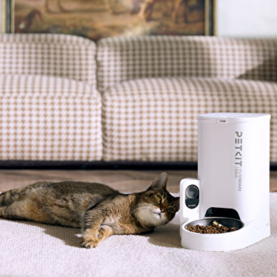 Petkit Yumshare Solo Kameralı Akıllı Mama Kabı