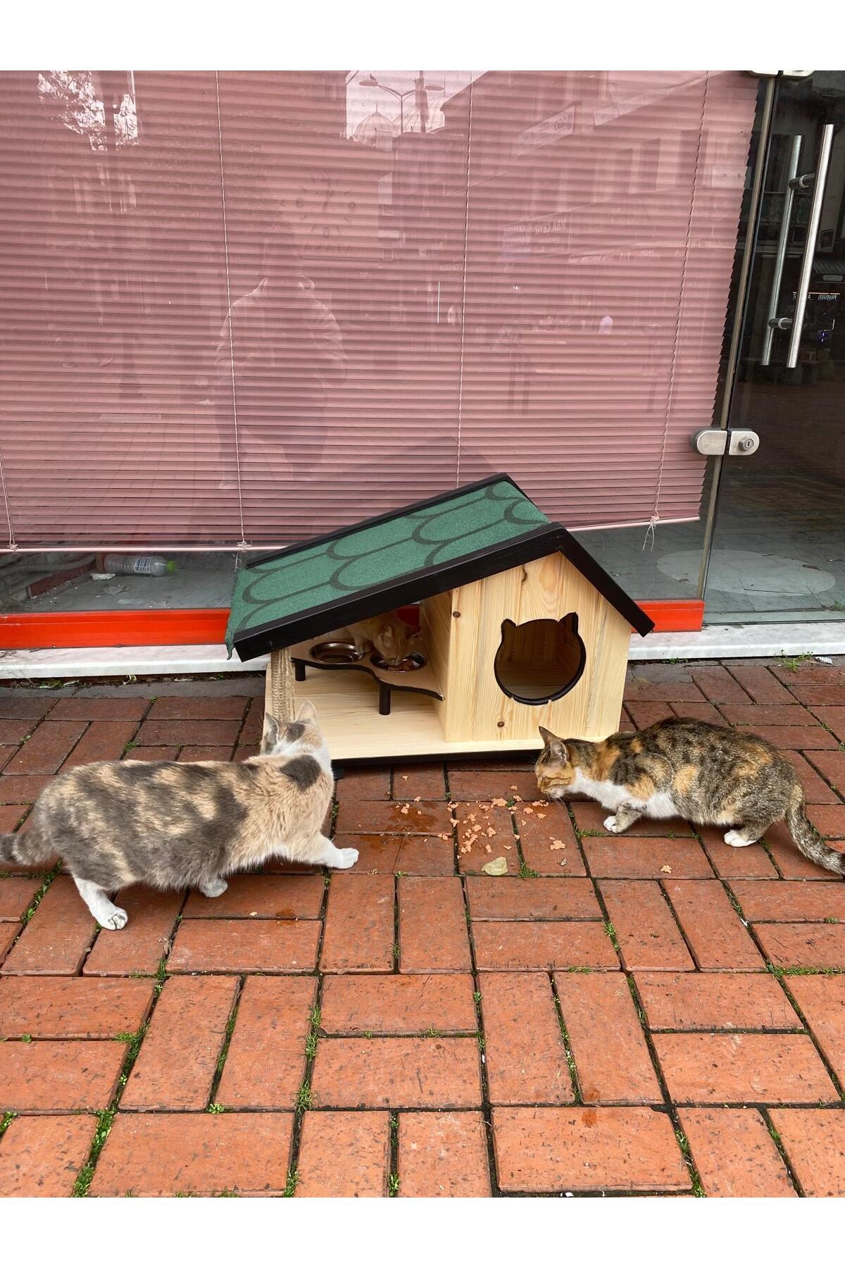 Narım Ahşap Mama Standlı Tırmalama Tahtalı Özel Tasarım Kedi Barınağı, Kedi Barınağı 74x45 cm