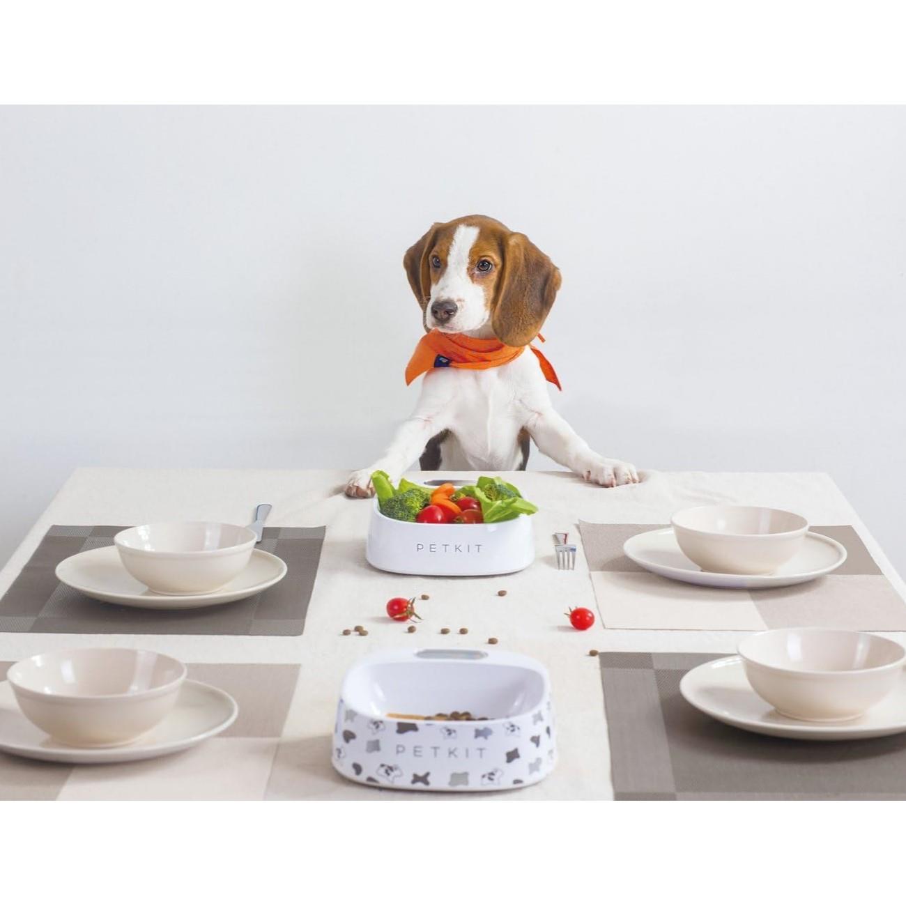 Petkit Fresh Antibakteriyel Akıllı Mama Kabı Beyaz