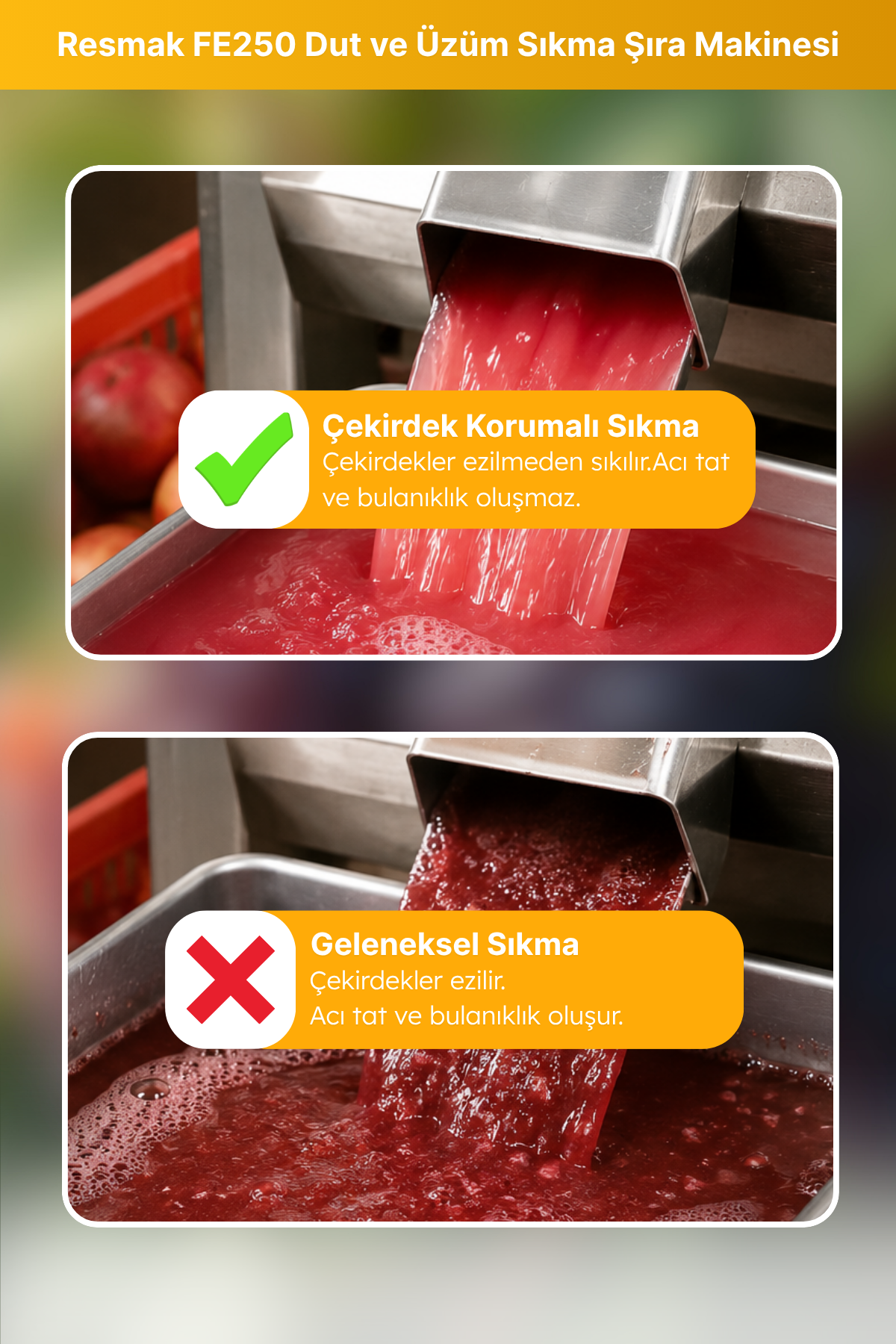 Resmak FE250 250 Kg/Saat Kapasite Dut ve Üzüm Sıkma Şıra Makinesi