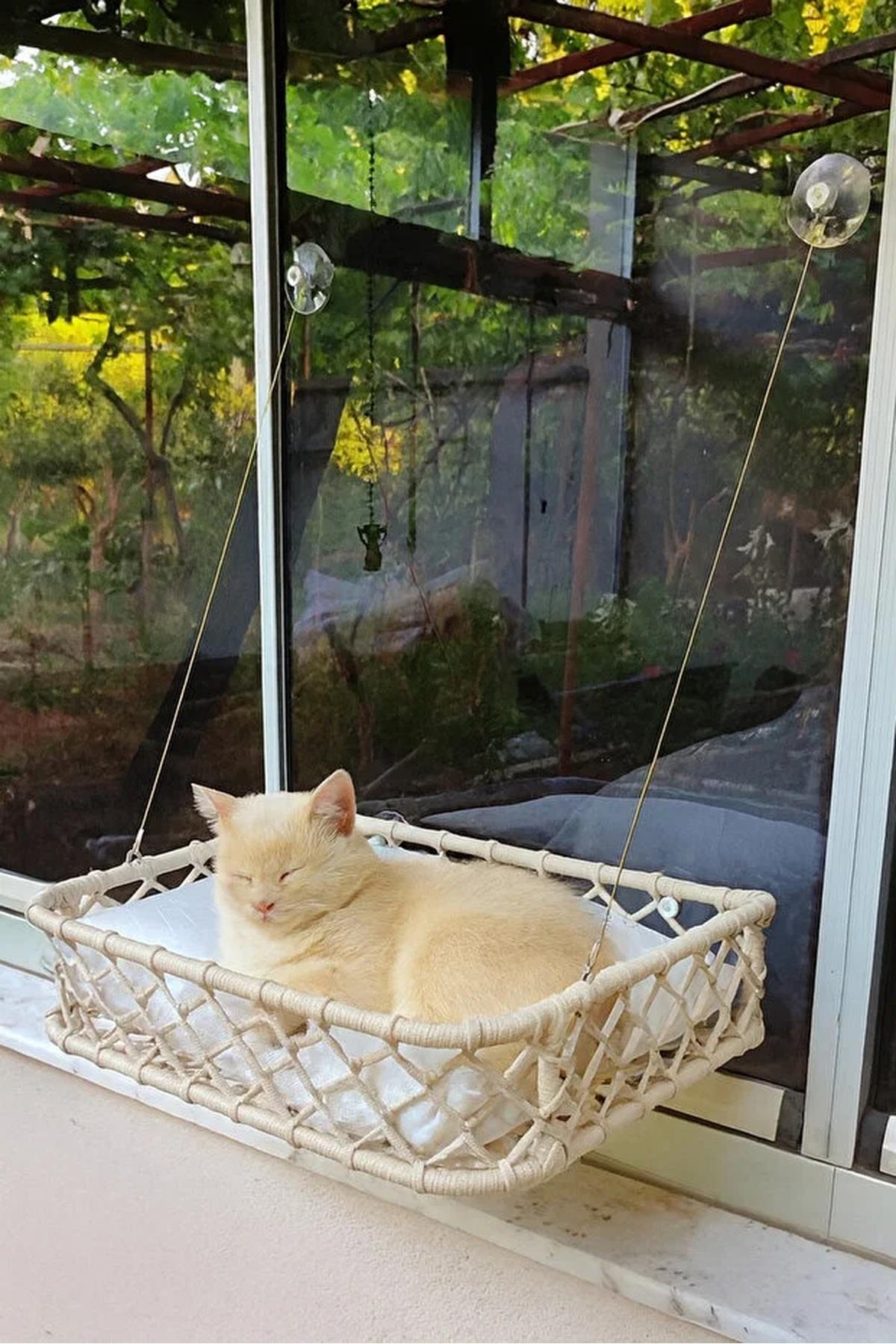 Tasaryum El Örgüsü Kedi ve Köpek Vantuzlu Cam Yatağı, Hamak Krem