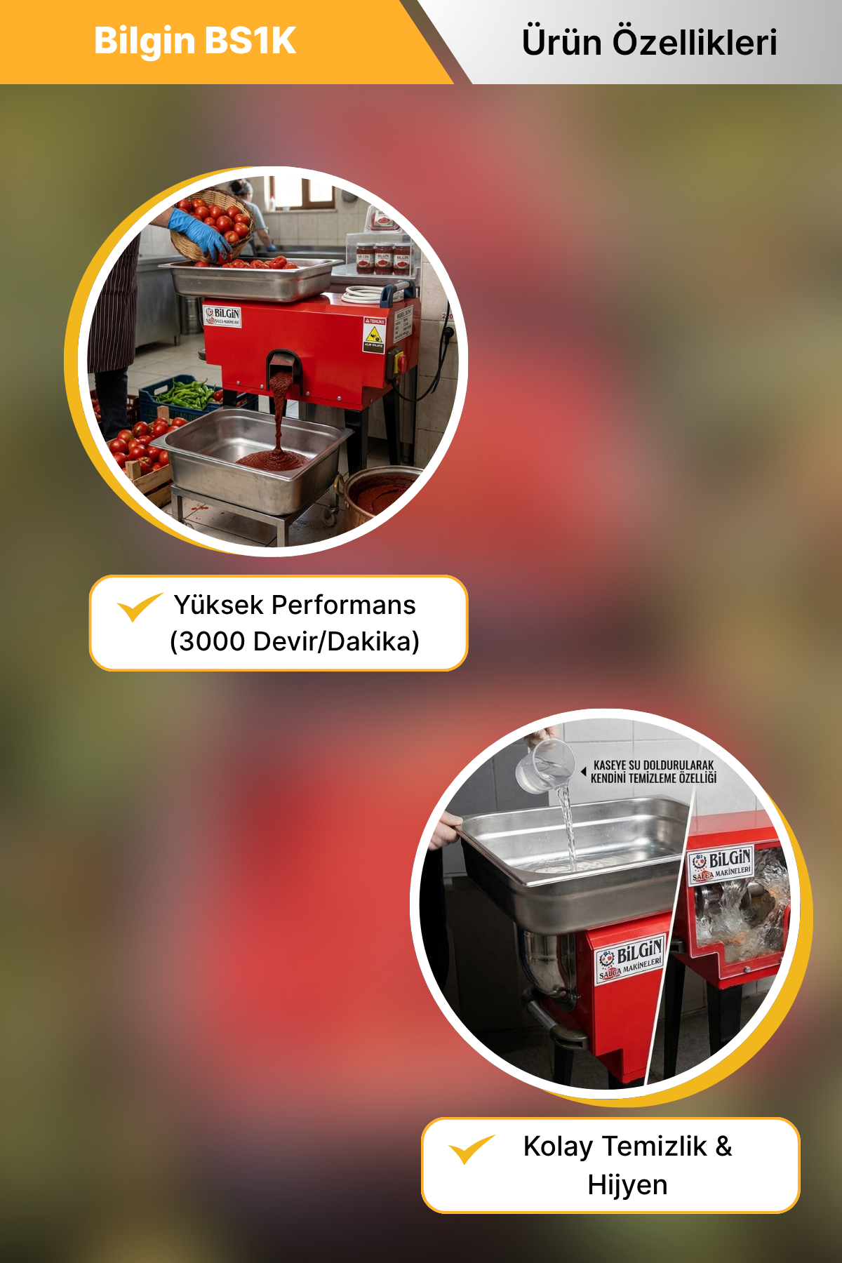 Bilgin BS1K 2,2 kW 3000 Devir 400 kg/s Salça Makinası Sıkma Makinası 220v