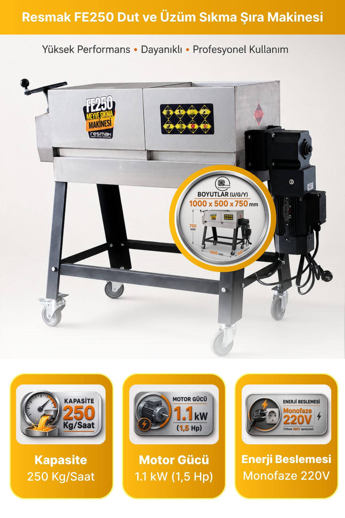 Resmak FE250 250 Kg/Saat Kapasite Dut ve Üzüm Sıkma Şıra Makinesi