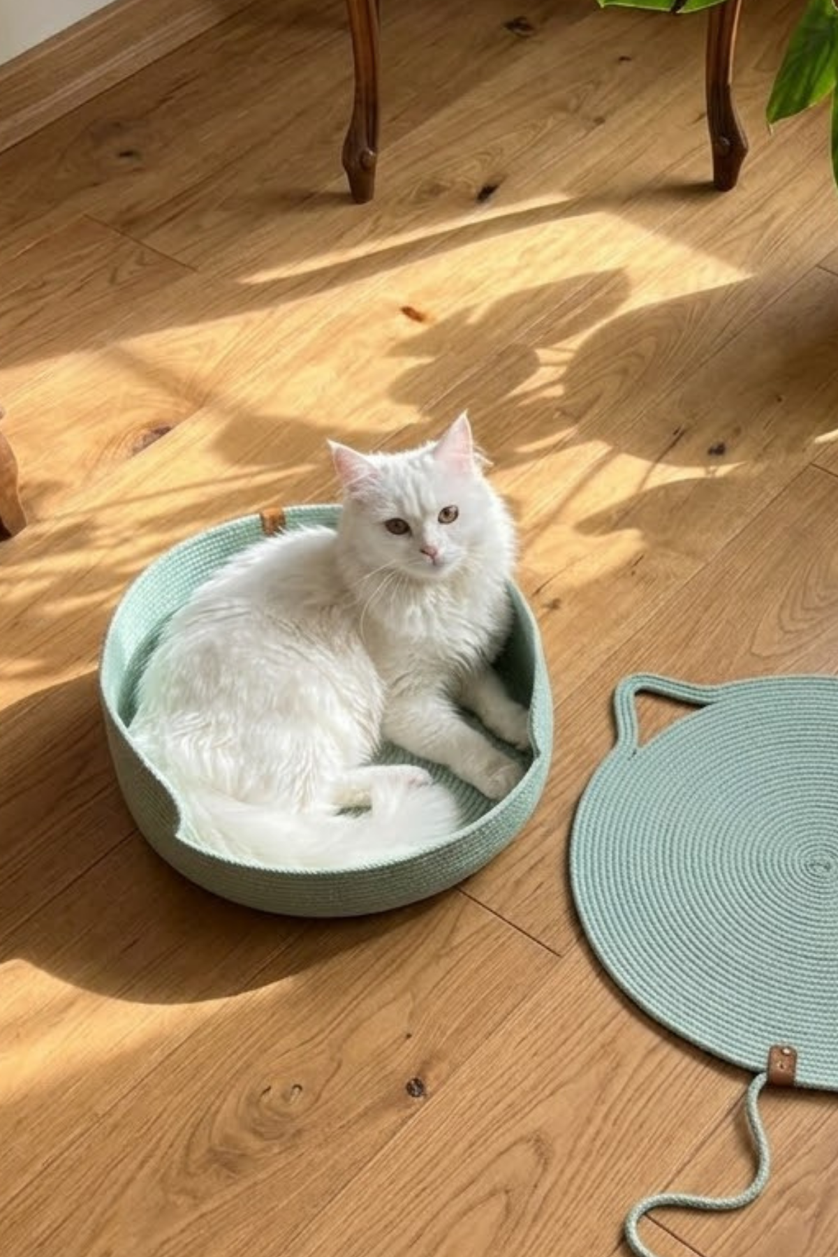 Reyo Pet El Yapımı Kedi ve Köpek Yatağı, %100 Pamuk İpli Evcil Hayvan Yatağı Çağla Yeşili