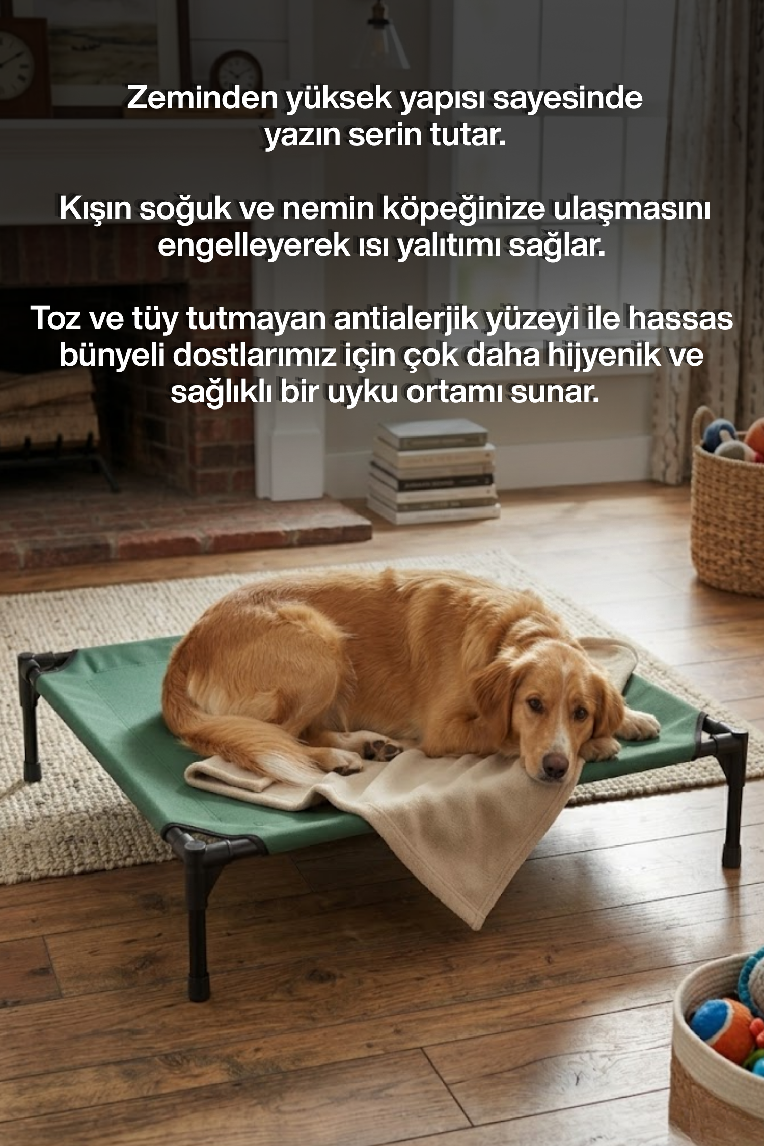 Reyo Yükseltilmiş Kedi Köpek Yatağı - UV Koruyucu Tenteli, Oxford Kumaş Taşınabilir Evcil Hayvan Çadırı