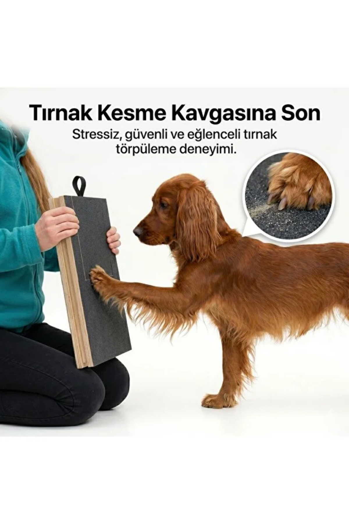 Reyo Köpekür Köpekler için Tırnak Törpüleyen Tırmalama ve Eğitim Tahtası