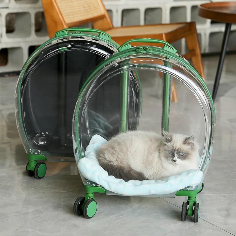 Reyo Pet Kedi Köpek Bavulu Şeffaf Pencere Geniş Görüş Seyahat Tekerlekli Çanta