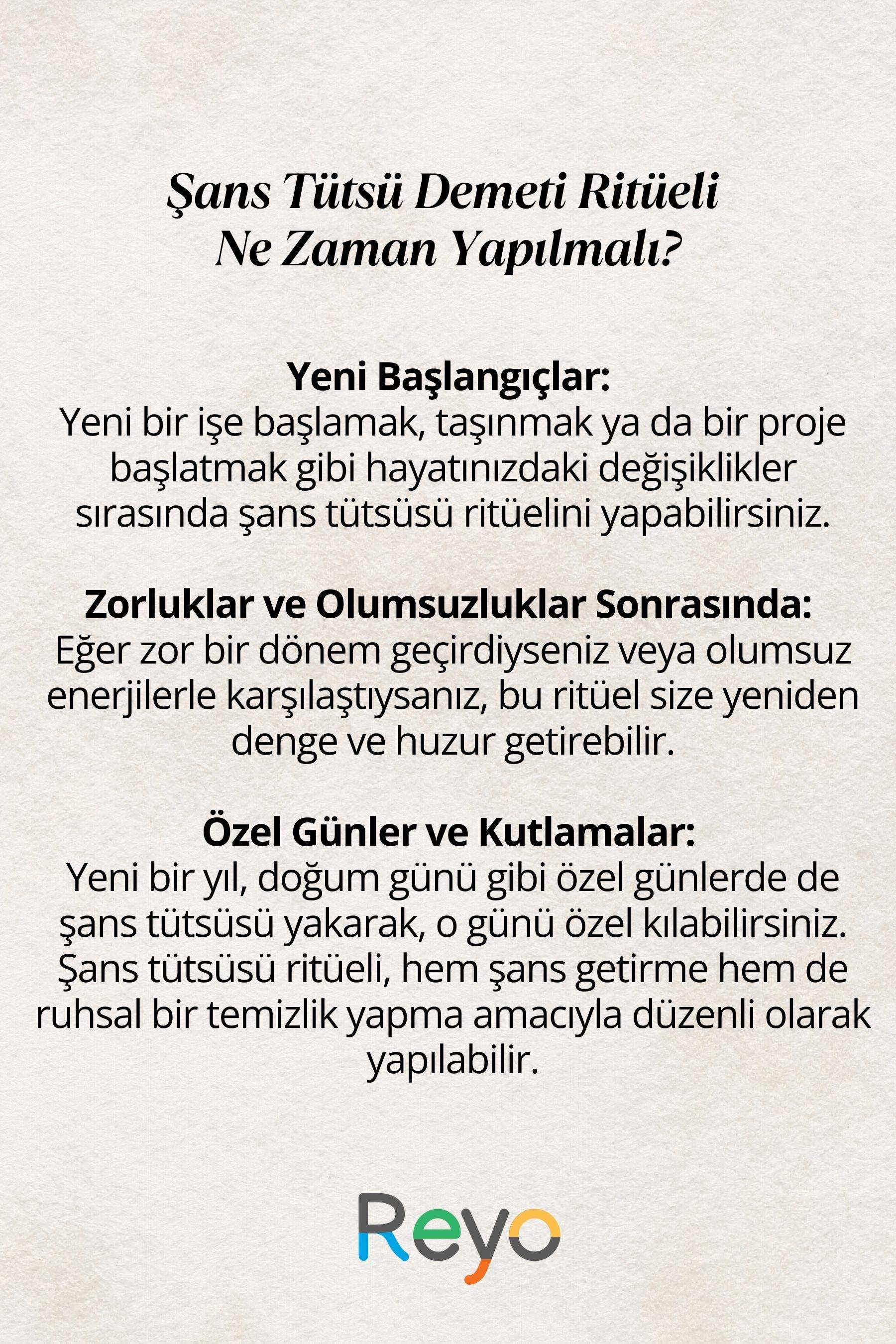 Reyo Şans ve Başarı Tütsü Demeti Arınma 3'lü Ritüel Set, 2 Adet Palo Santo ve Deniz Kabuğu ( Tuz Hediyeli)