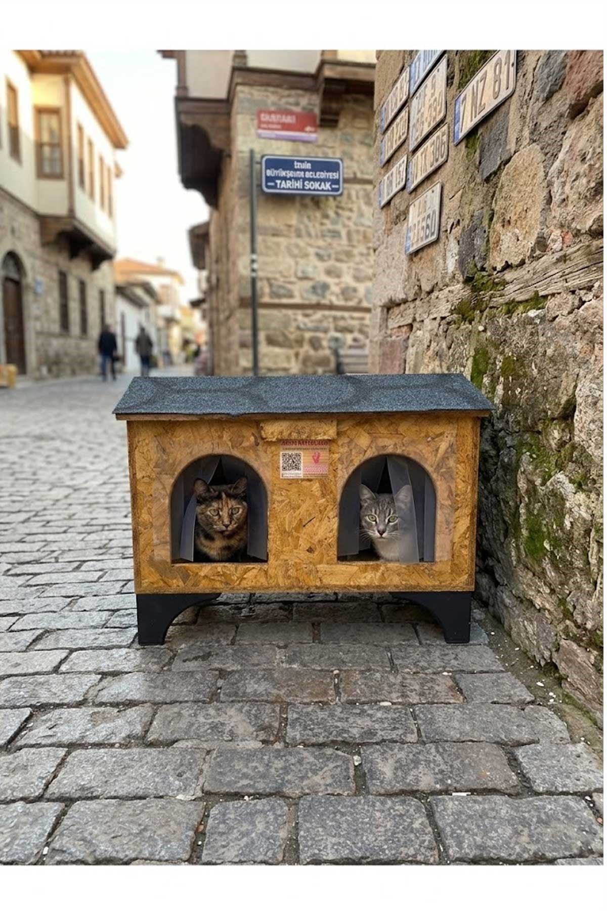 Narım 2 Kedilik Kedi Evi Su ve Soğuk Yalıtımlı İç ve Dış Mekan Kedi Barınağı