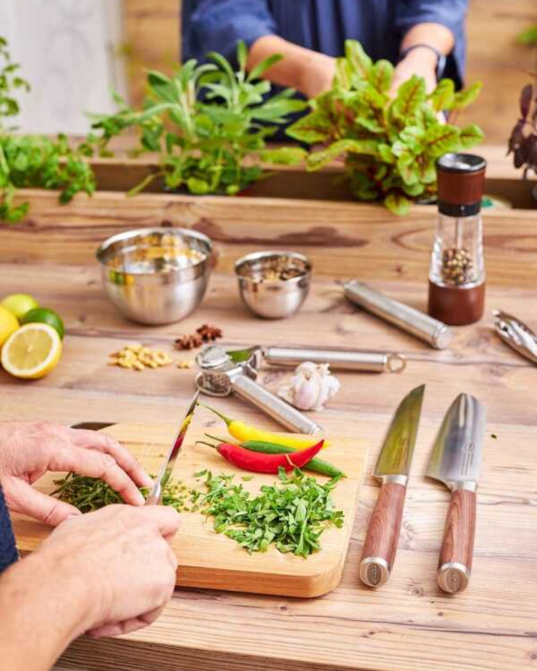 Rösle Masterclass Santoku Bıçak 17 cm