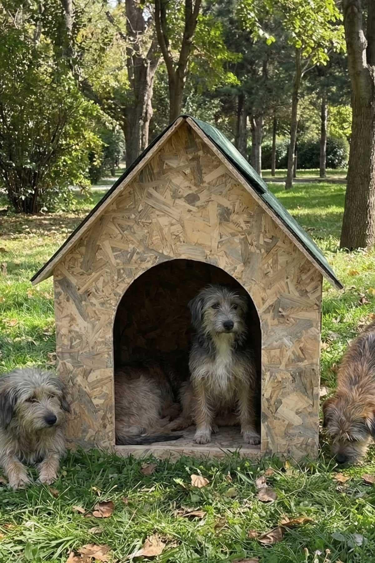 Reyo Köpek Kulübesi Büyük Boy OSB XL Yeşil Çatılı 100x100x78 cm MLD0DOG08
