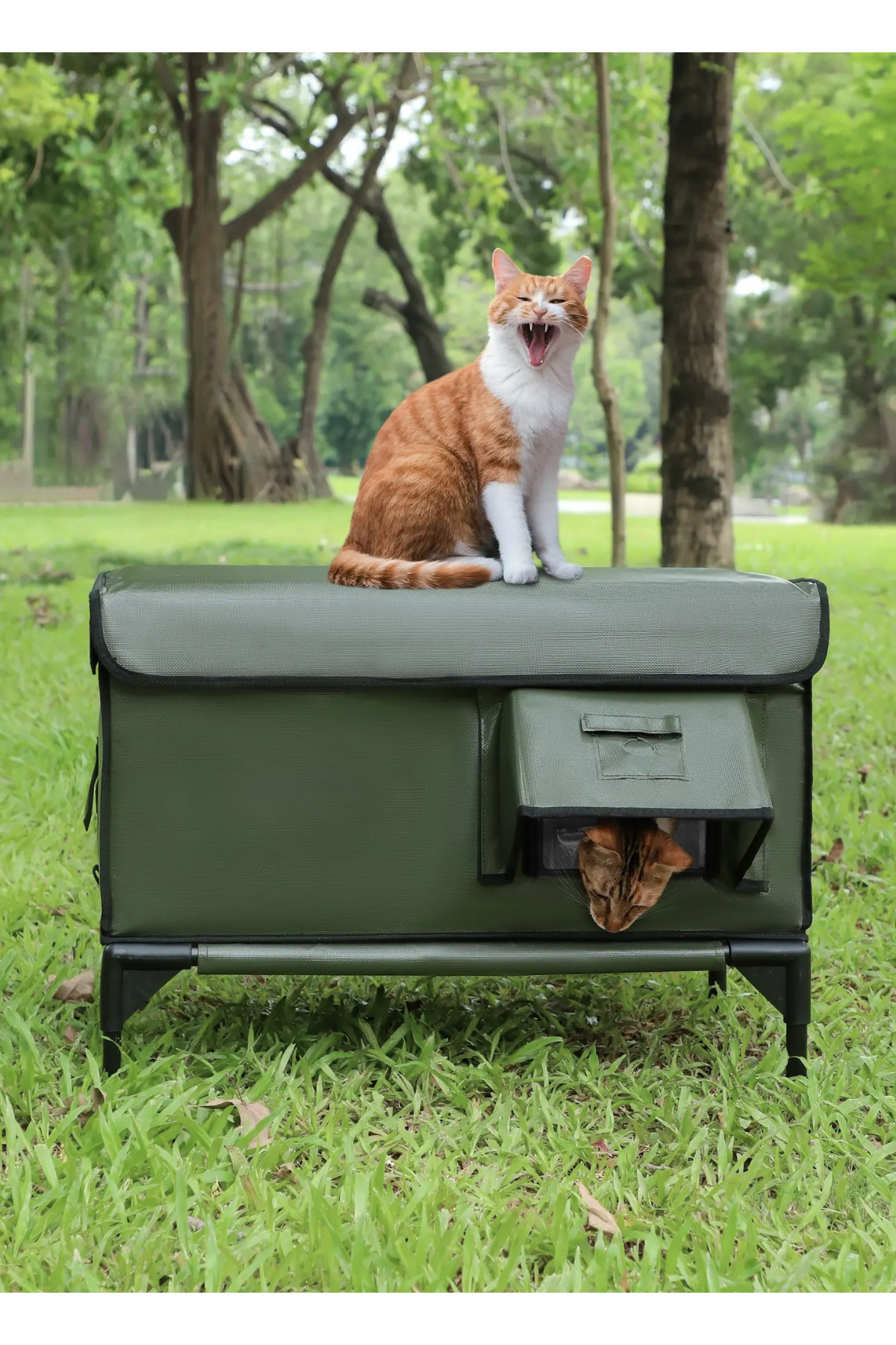 Reyo Dış Mekan İçin Isı Yalıtımlı Su ve Rüzgar Geçirmez Kedi Evi Kedi Barınağı