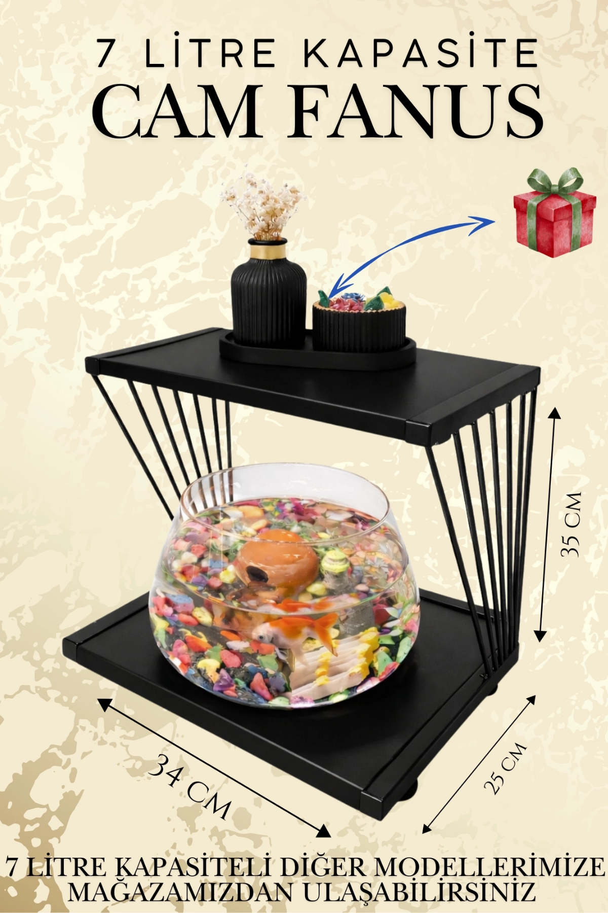 Reyo OK-AY Store Exclusive Işıklı Beta Akvaryum ve Fanus Modern Tasarım LED Aydınlatmalı Modern Temalı Fanus Siyah-Siyah