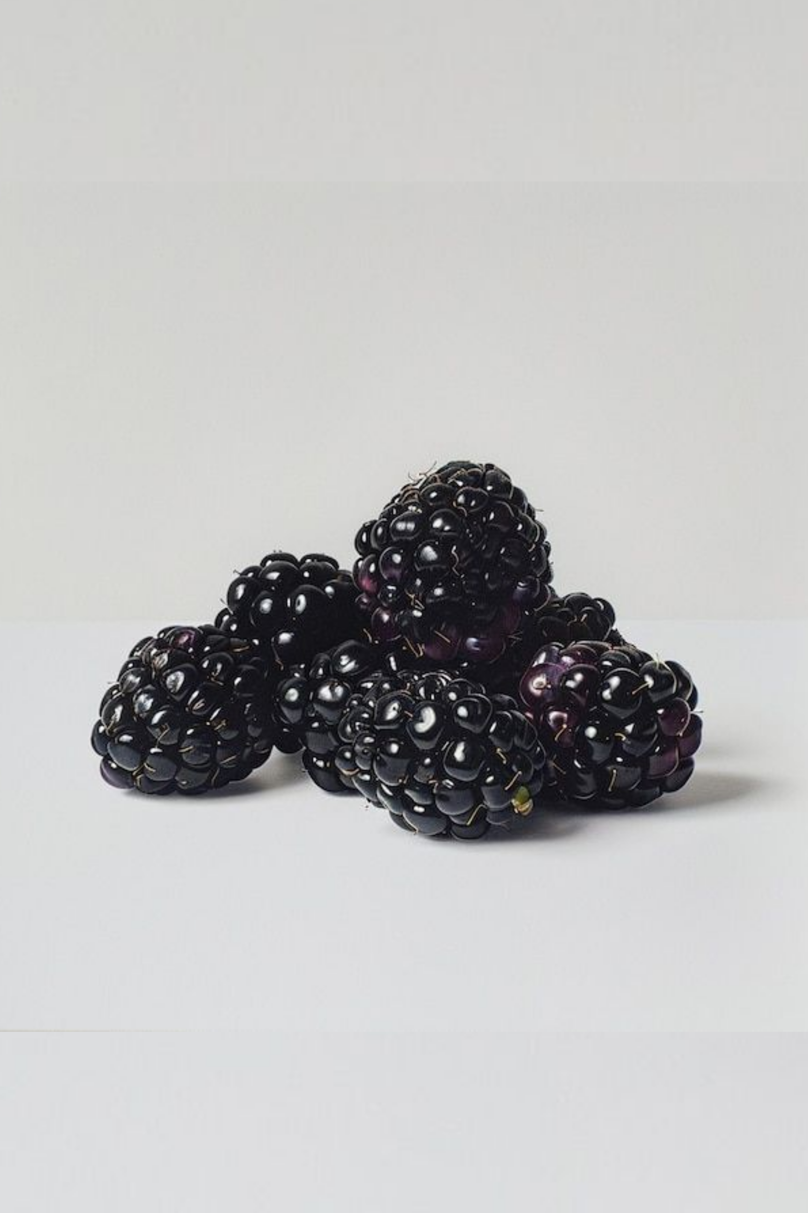 Bahçevilya Jumbo Böğürtlen Fidanı (Rubus Fruticosus) Saksılı 1-2 Yaş Arası