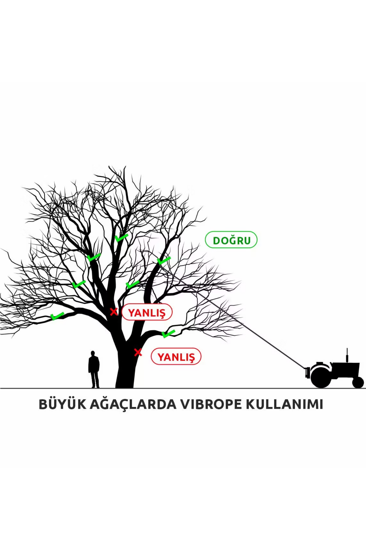Kadıoğlu HM600 Vibrope Ceviz Vişne Silkeleme Makinesi