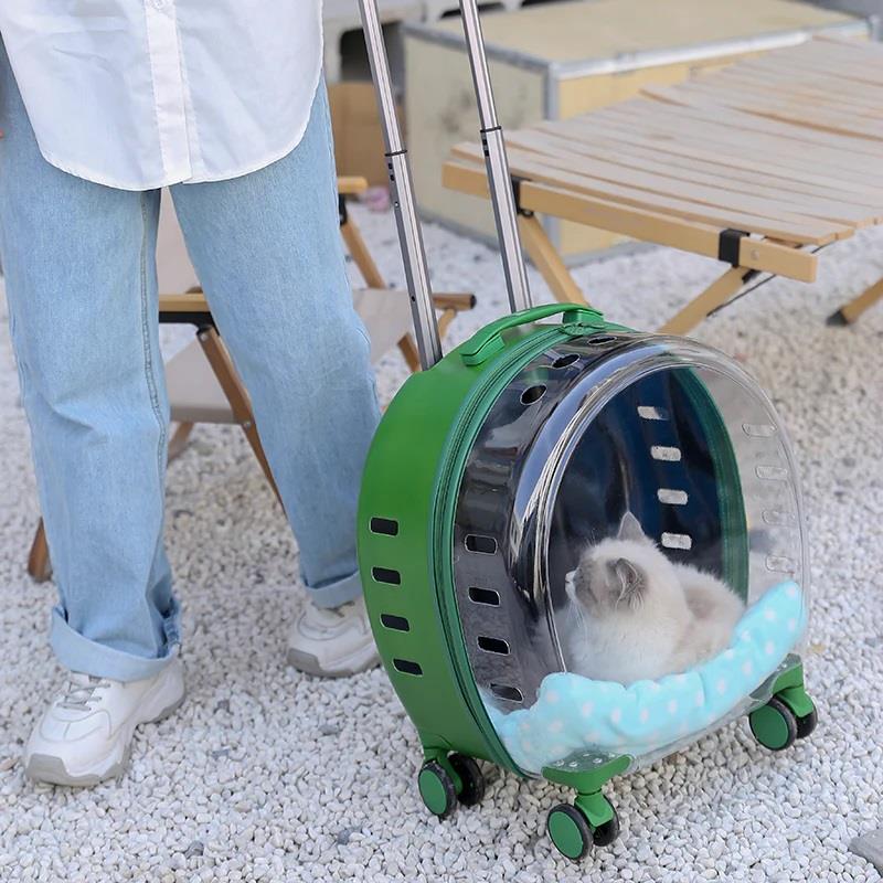 Reyo Pet Kedi Köpek Bavulu Şeffaf Pencere Geniş Görüş Seyahat Tekerlekli Çanta