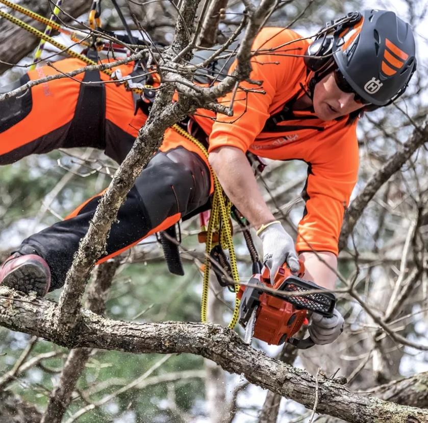 Husqvarna T525 Ağaç Kesme Makinesi