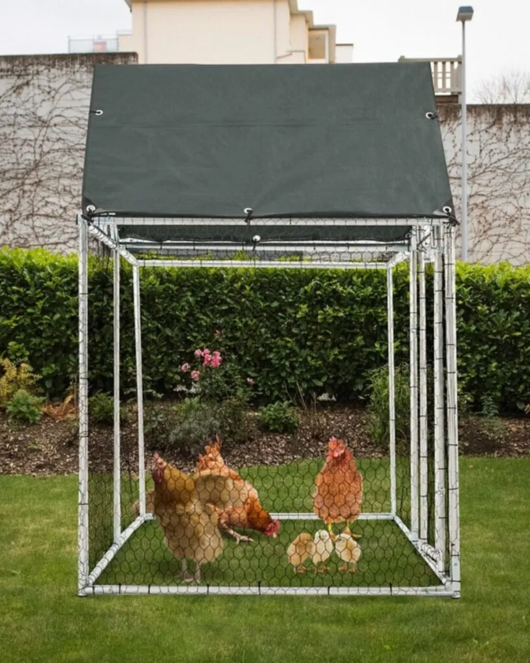 Kadmec CGT17 Kuruluma Hazır Kümes