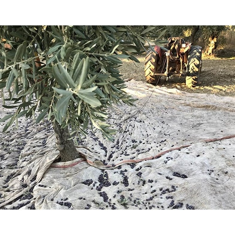 Kadıoğlu Vibrope Eko Halatlı Silkeleme Makinası