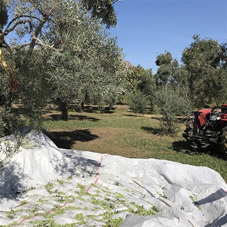 Kadıoğlu Vibrope Eko Halatlı Silkeleme Makinası