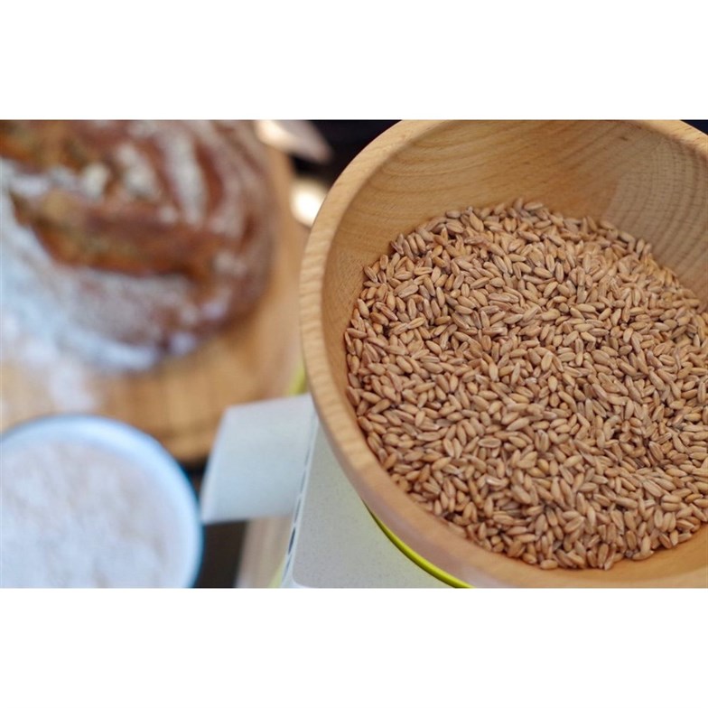 Komo Mio Un Değirmeni