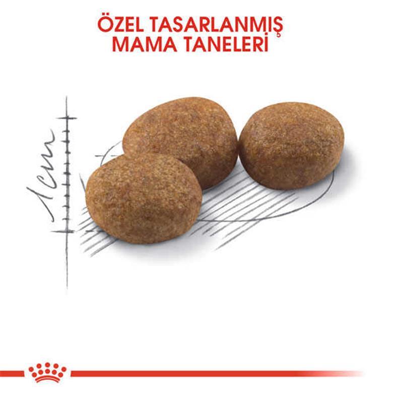 Royal Canin Sterilised Kısırlaştırılmış Kedi Maması 2 KG