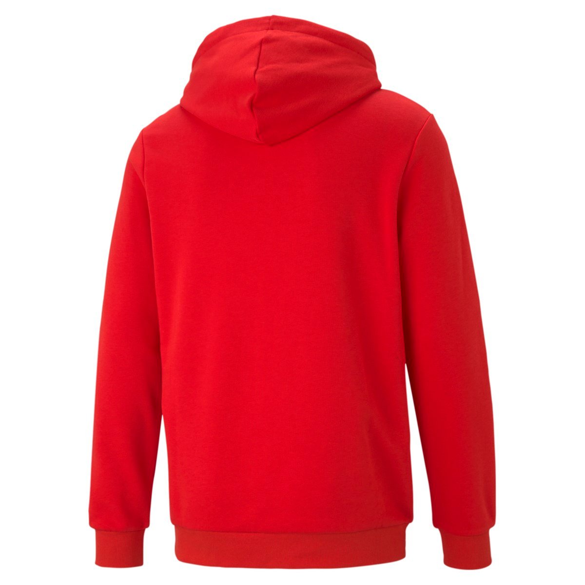 Ess Big Logo Hoodie Tr