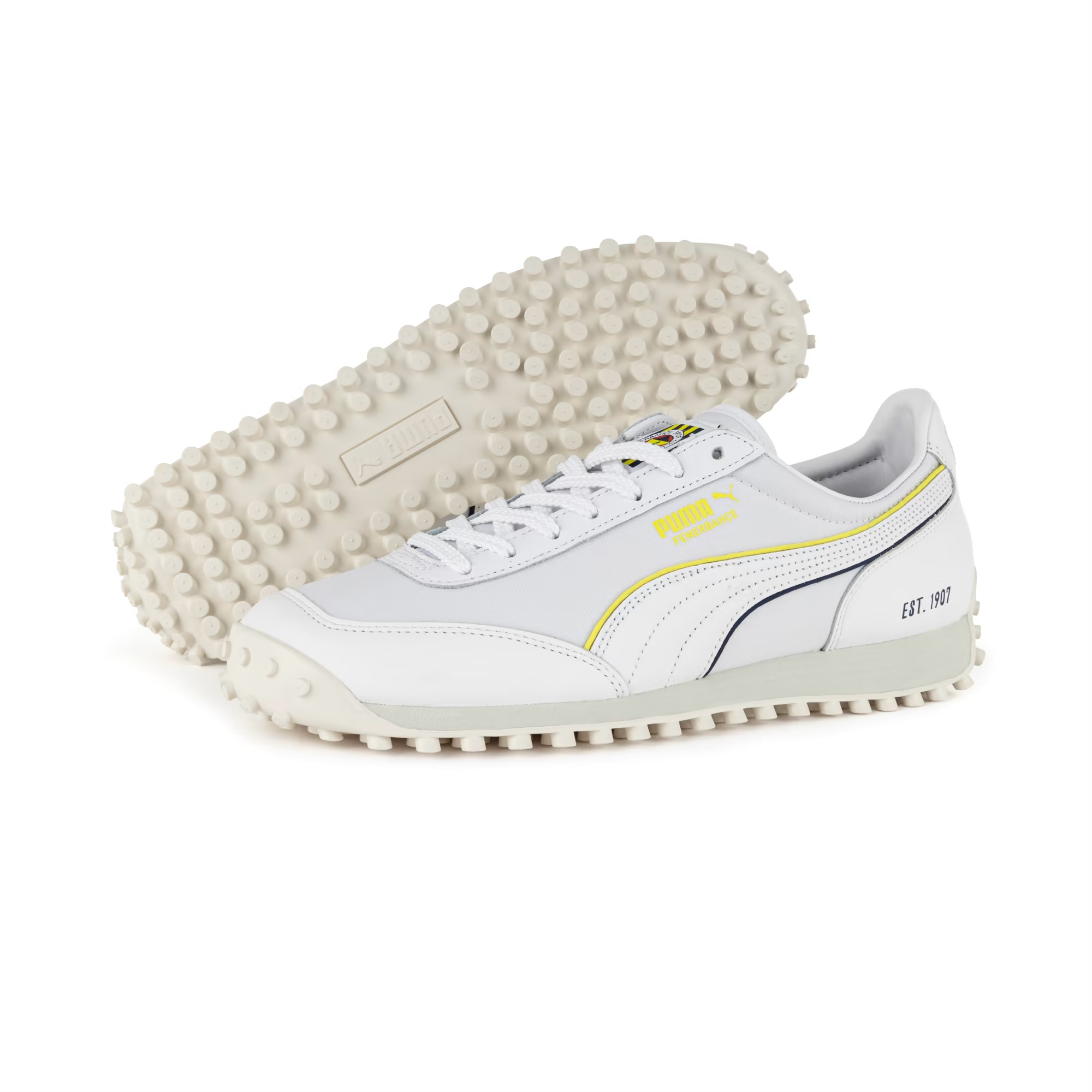 Fast Rider Fenerbahce