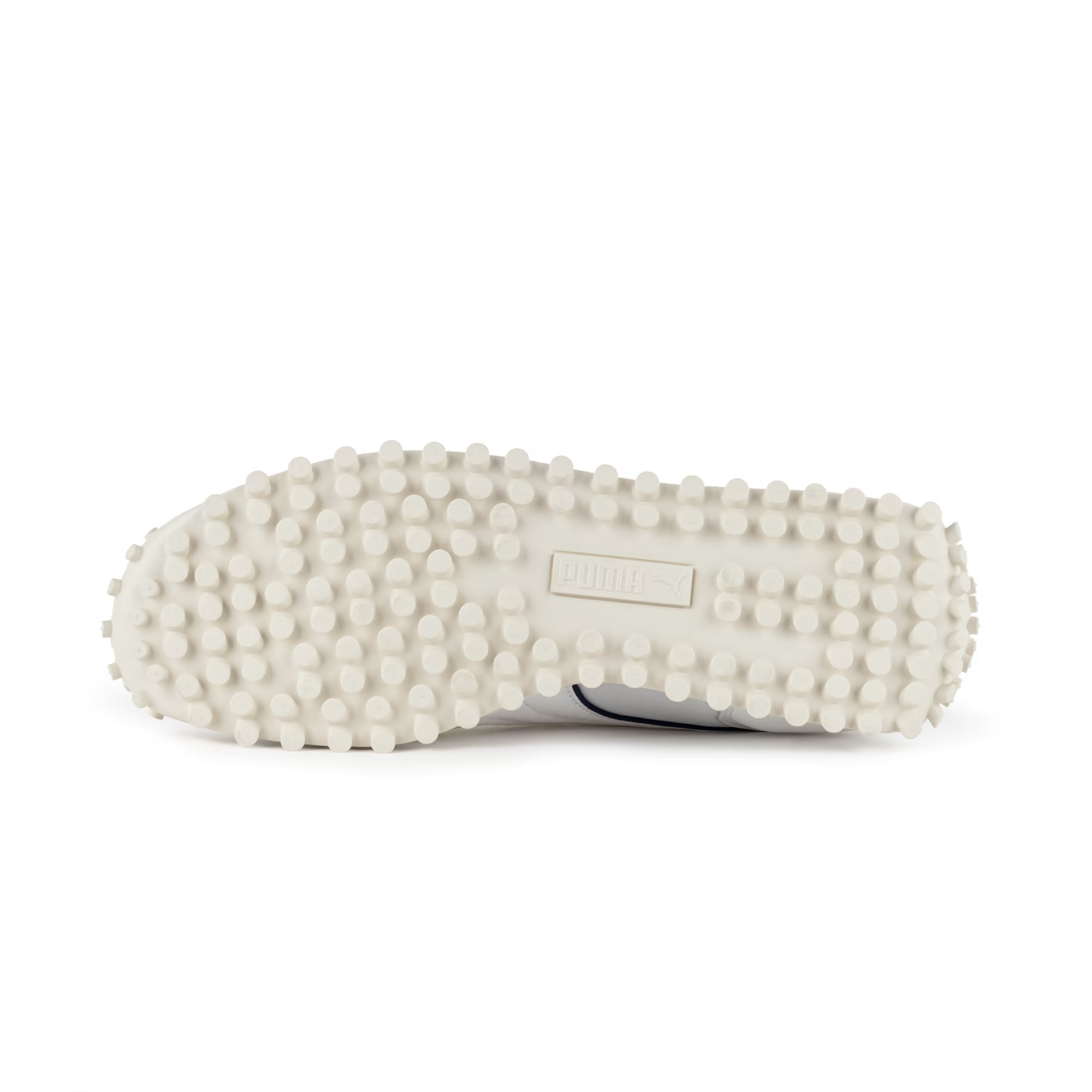 Fast Rider Fenerbahce