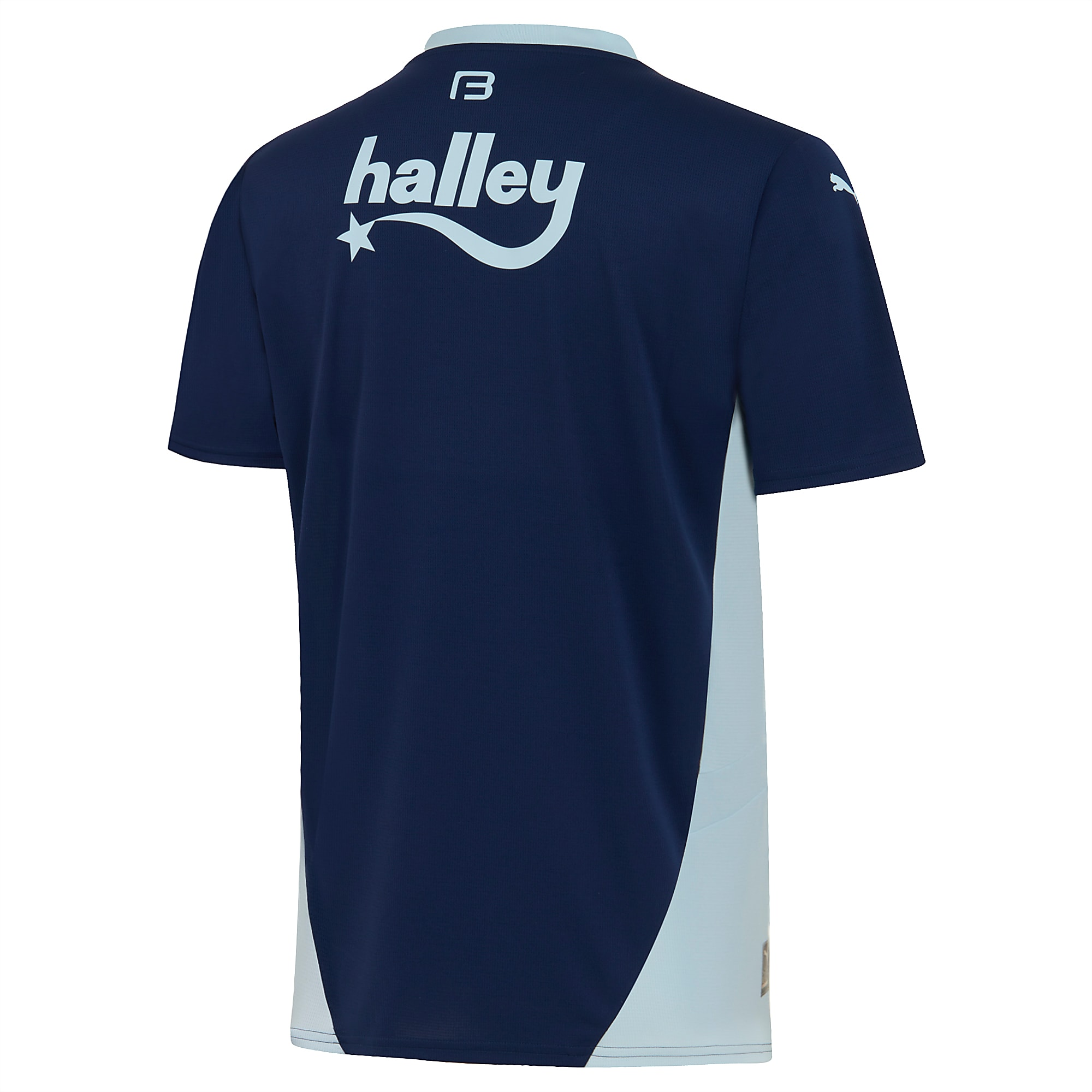 Puma Fenerbahçe Fsk Third Jersey 24/25 Erkek Forma