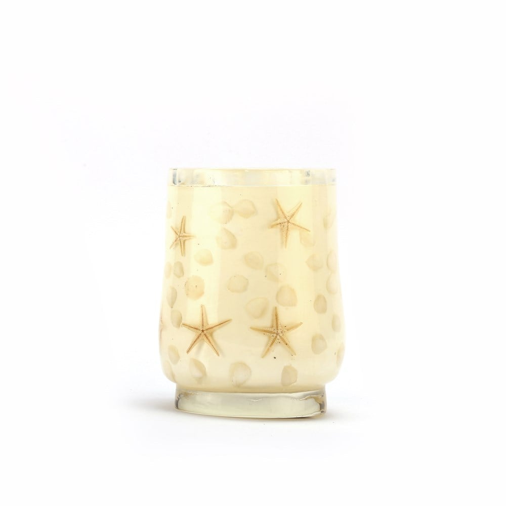 DİŞ FIRÇALIK DENİZ YILDIZI EL YAPIMI 400 GR 7X7X10CM