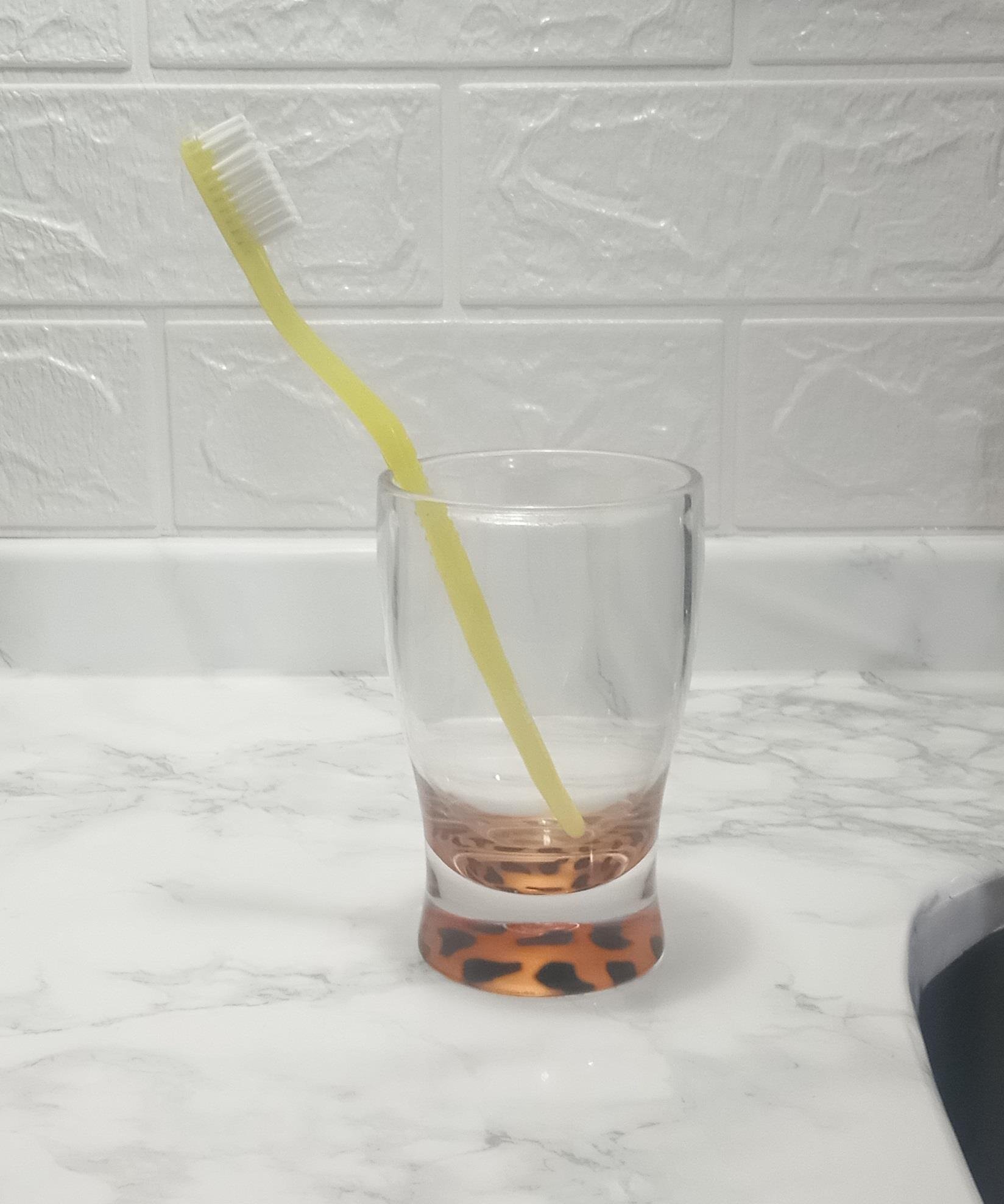 Diş Fırçalık Macun Kabı Leopar 6x6x11cm 270ml