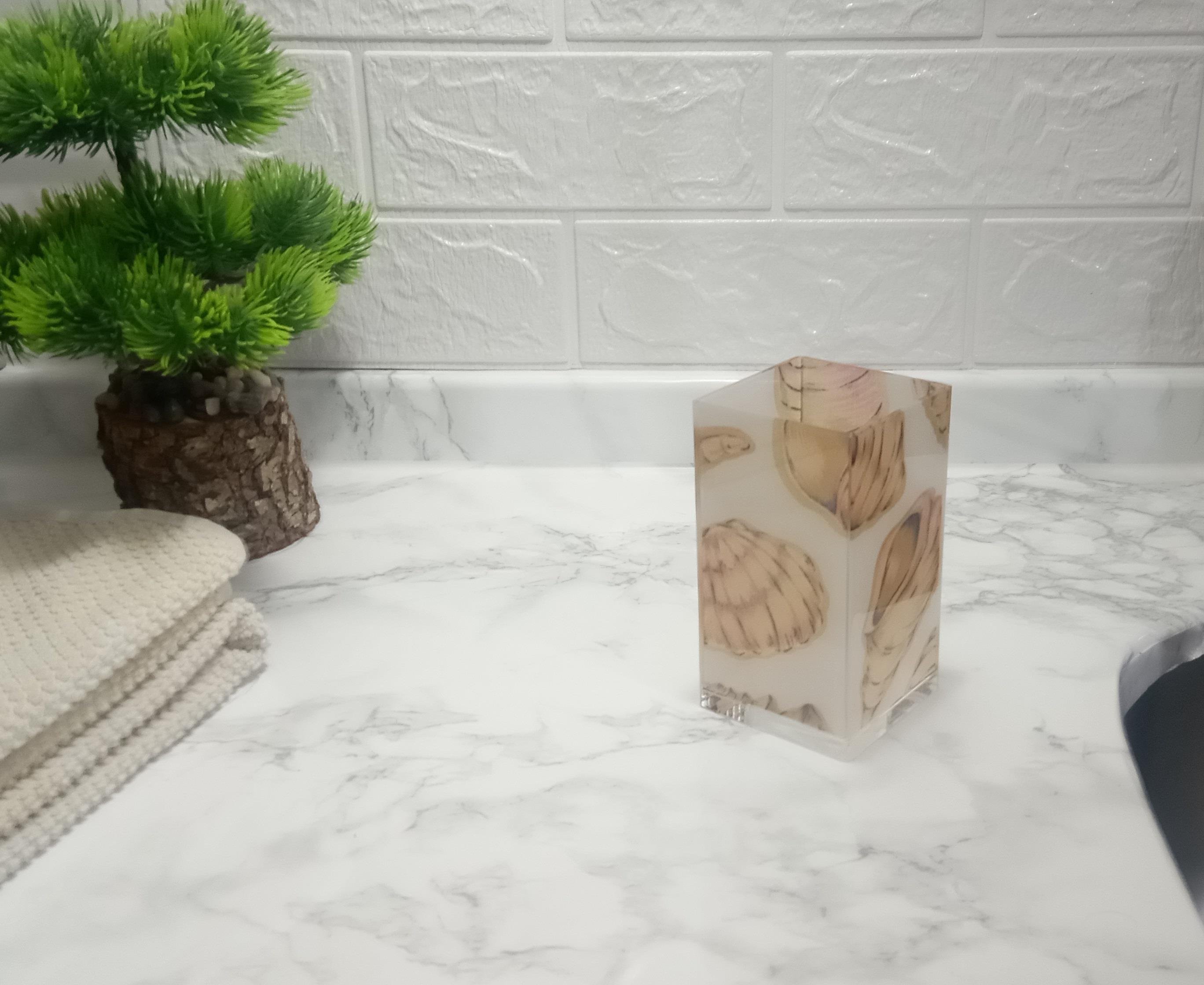 Diş Fırçalık Ve Macun Kabı İstiridye 6x6x12cm 300ml