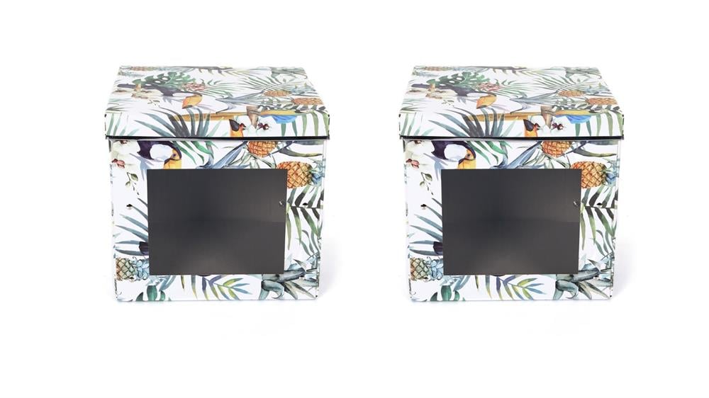 Saklama Kutusu Seti Tropikal Desenli Pencereli 2 Adet 28x28x26cm