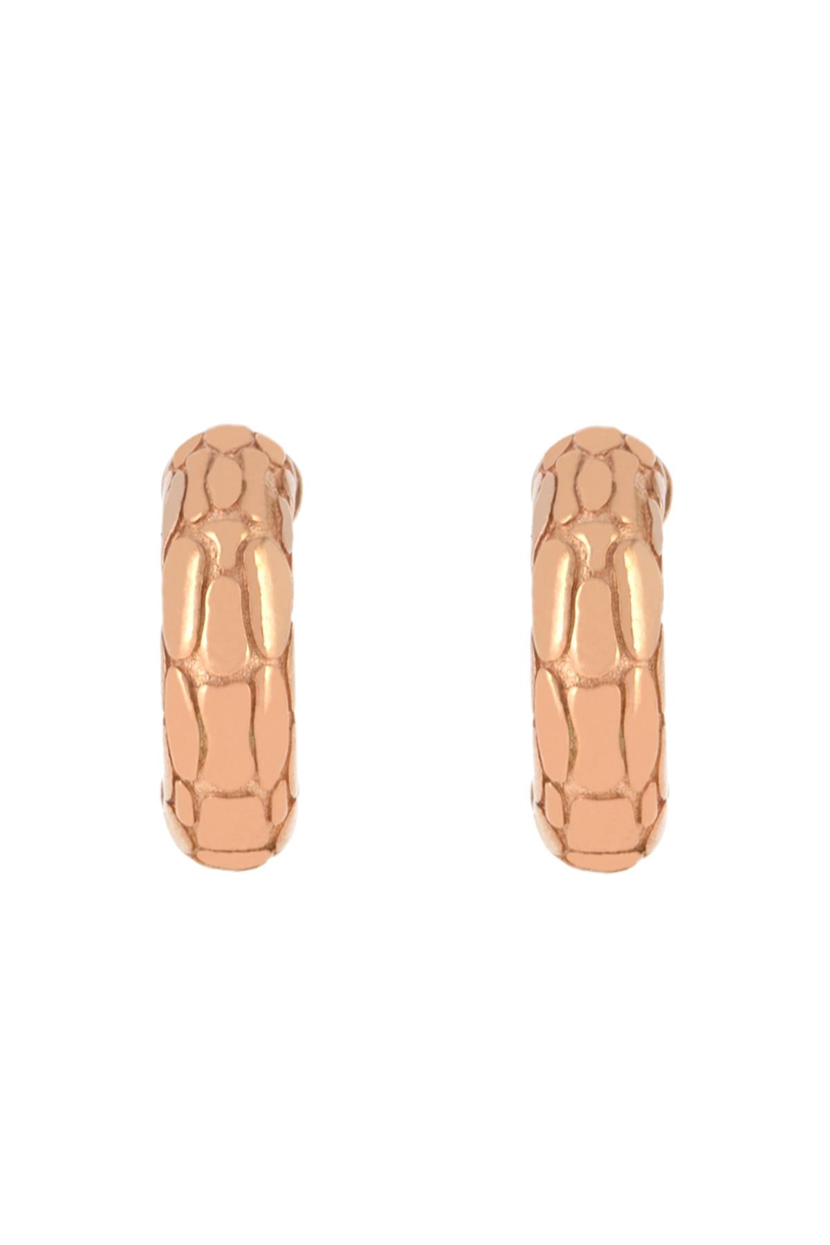 حلق الاذنTurtle Shell Küpe