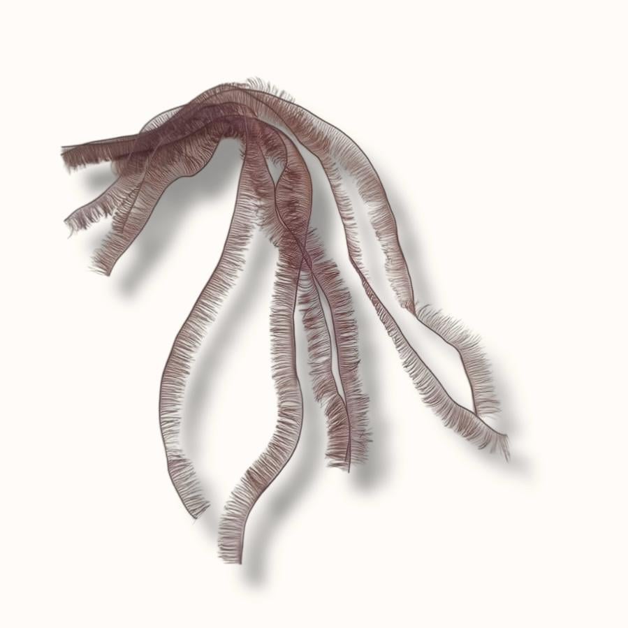 Amigurumi Kaş-Kirpik Kahve ( Tek Tel ) 